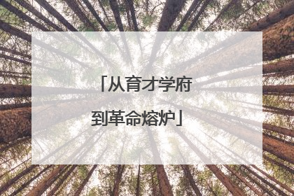 从育才学府到革命熔炉